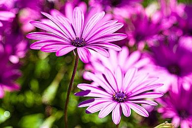 《微软飞行模拟》XSX＆S现已发售 玩家不需要下载整个游戏