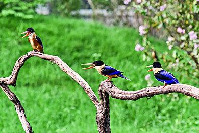 恐怖游戏《Code Violet》新截图 紧身衣女主性感